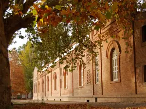 Bodega Goyenechea