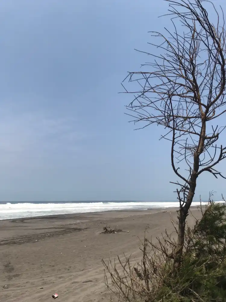 Hotels near Cemara Sewu Beach