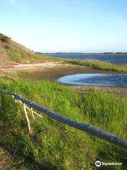 Springer's Point Preserve