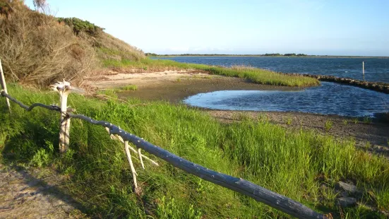 Springer's Point Preserve