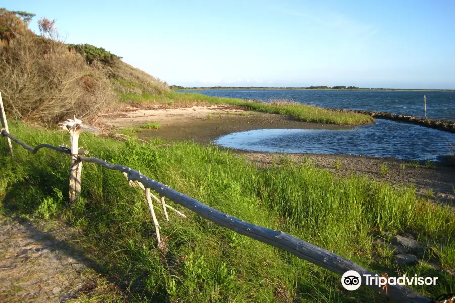 Springer's Point Preserve