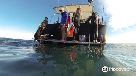 Ningaloo Experience