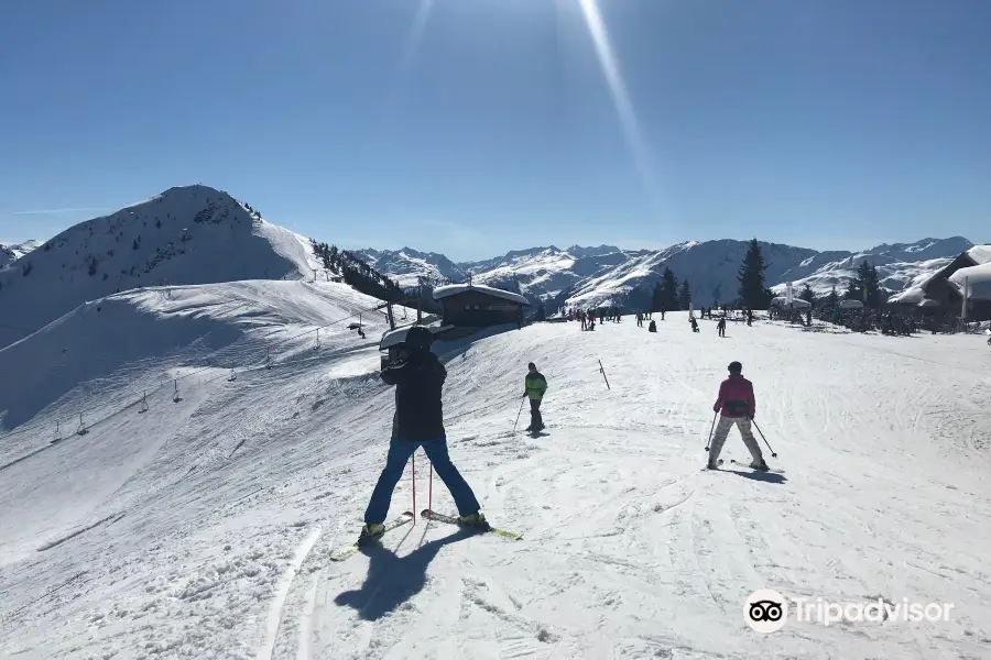 Pro-Skischule