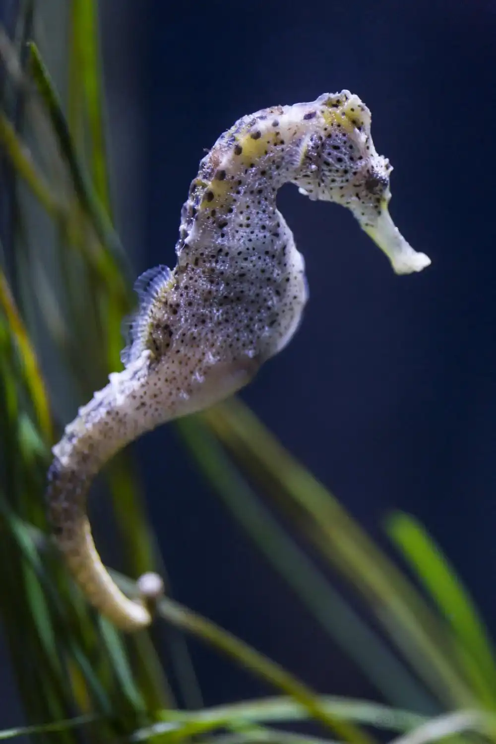 Hotels near SEA LIFE Konstanz