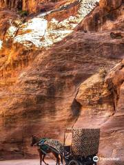 Lost City of Petra