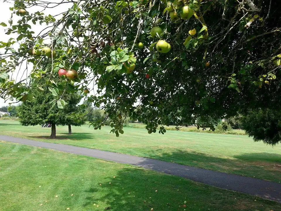 3_Gresham Golf Course