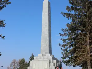 Obelisk Liberators Rzhev