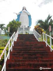 Our Lady of the Assumption