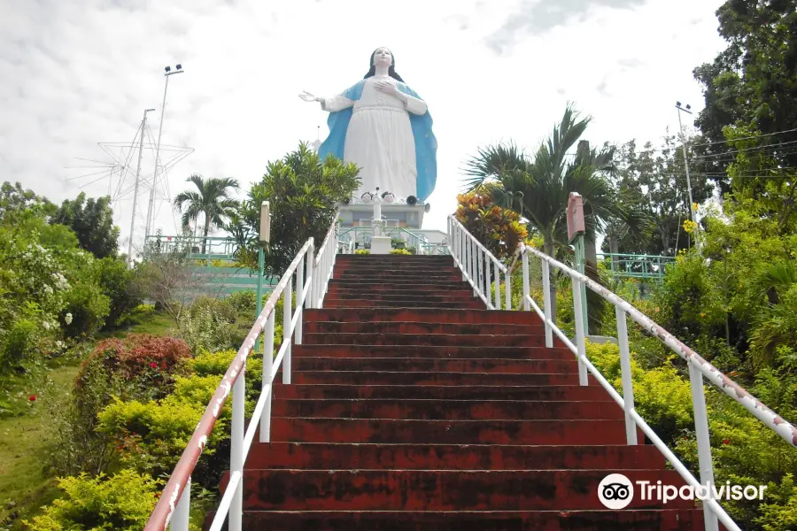 Our Lady of the Assumption