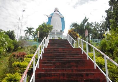 Our Lady of the Assumption