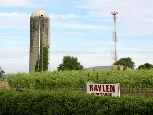 RayLen Vineyards & Winery