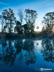 Florida's Pristine Parks: Crystal River National Wildlife Refuge --  National Geographic