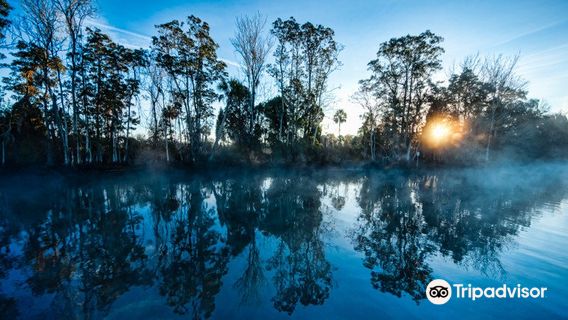 Bird's Underwater Manatee Dive Center