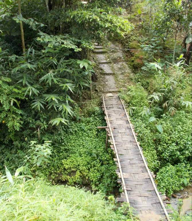 Mokokchung