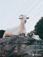 到津之森公園（動物園）