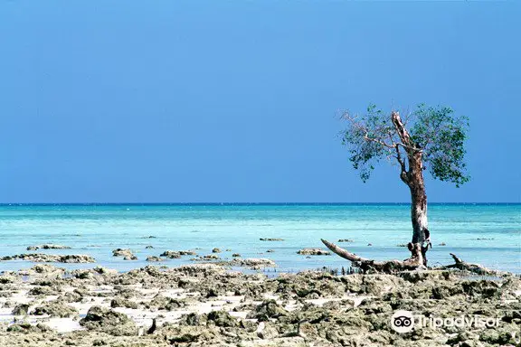 Andaman Bubbles Scuba Diving