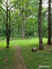 Elkwallow Picnic Area