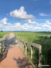 Horicon National Wildlife Refuge