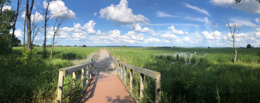 Horicon National Wildlife Refuge