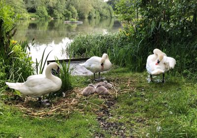 Holmebrook Valley Country Park