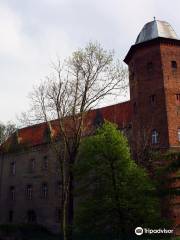 Castle Koźmin Wielkopolski.