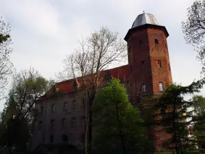 Castle Koźmin Wielkopolski.