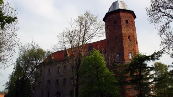 Castle Koźmin Wielkopolski.