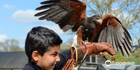 Umberslade Farm Park