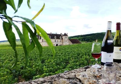Clos de Bourgogne , ateliers"vigne et vin"