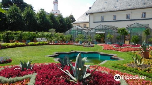 Bad Homburg Palace (Landgraves' Castle & Castle Park)