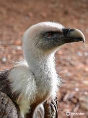 Aran Park - Parc Animalier