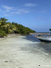 Sea Sports Belize