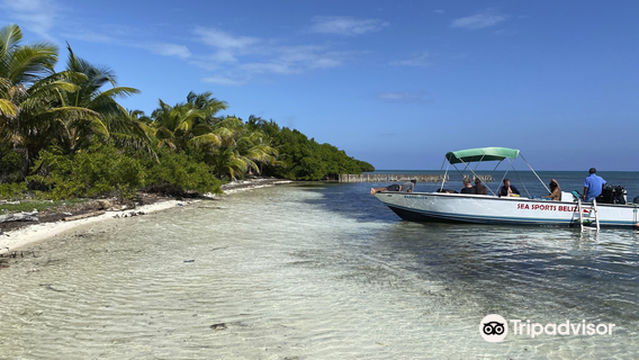 Sea Sports Belize