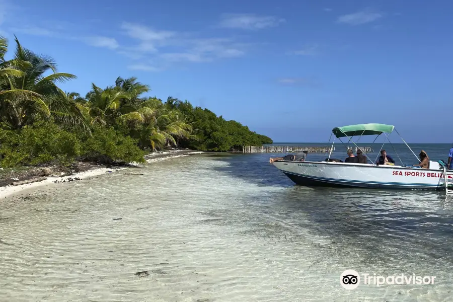 Sea Sports Belize