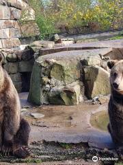 Kaliningrad Zoo