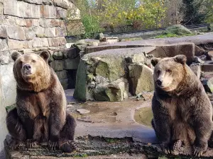 Kaliningrad Zoo