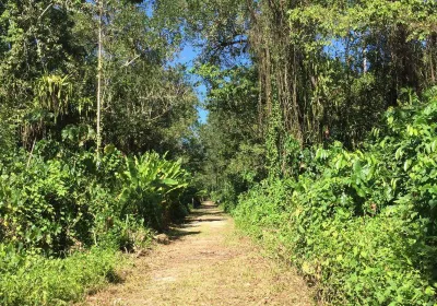 Peperpot Nature Park