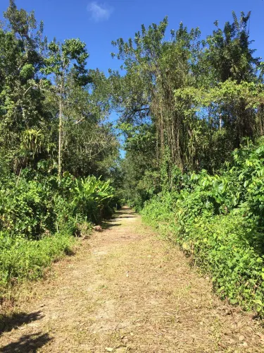 Peperpot Nature Park