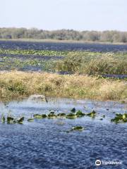 Three Lakes Wildlife Management Area