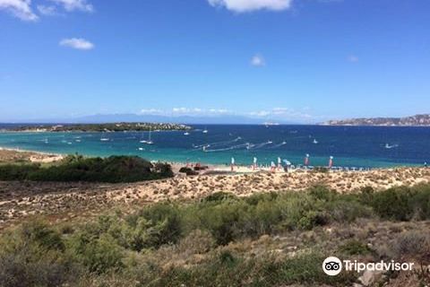 Wind Windsurf Porto Pollo - 1 Day Lesson