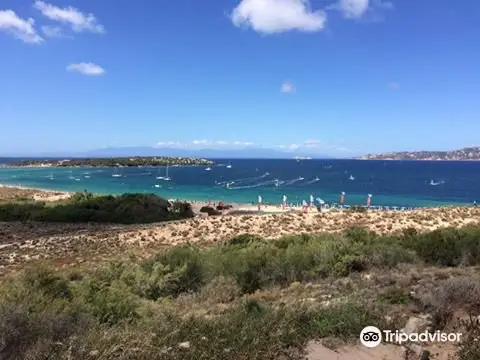 Wind Windsurf Porto Pollo - 1 Day Lesson