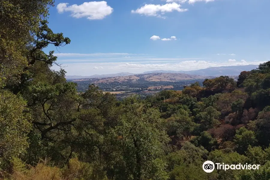 Castle Ridge Trail