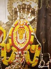 Ananthankadu Sree Nagaraja Temple Trust