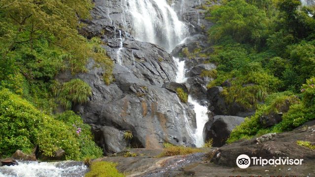 Cheeyappara Waterfalls
