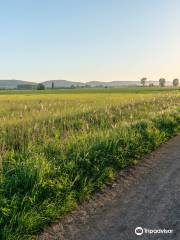 Naturschutzgebiet Bastauwiesen