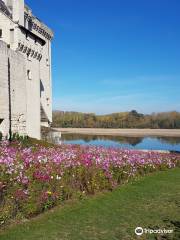 ChâteaudeMontsoreau-當代藝術博物館