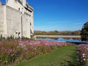 Château de Montsoreau - Musée d'Art Contemporain