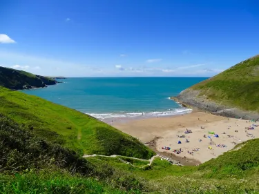 Y 페르윅