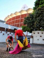 Plaza de Toros Nuevo Progreso