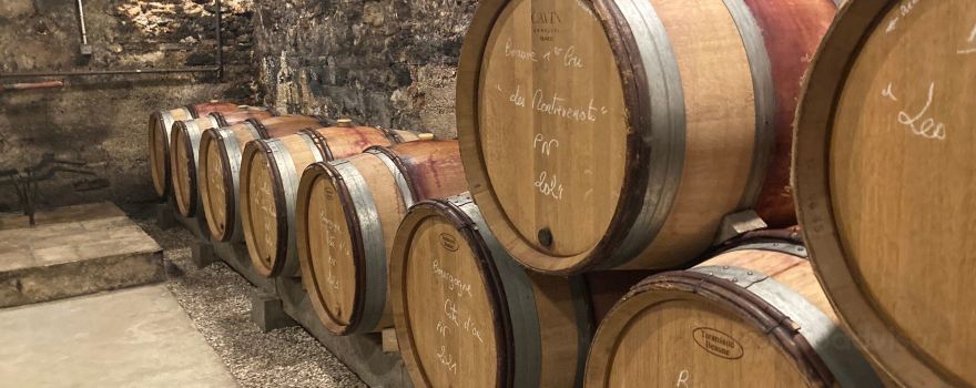 Domaine Baduel Guillaume